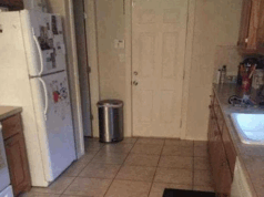 Spot jij de verborgen hond in deze keuken? Slechts weinigen zien ‘m binnen 10 seconden