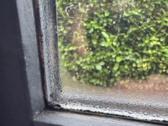 Zet dit op je vensterbank: ramen binnen 1 uur droog – perfect voor de winter