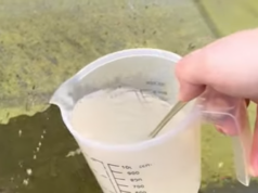 Verwijder groene aanslag van je tegels in een handomdraai met dit goedkope huismiddeltje