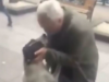 Na 3 jaar op straat bevriest een hond bij een vertrouwde stem – het hartverwarmende weerzien bezorgt kippenvel