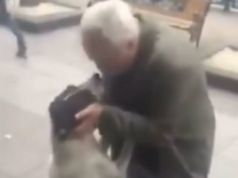Na 3 jaar op straat bevriest een hond bij een vertrouwde stem – het hartverwarmende weerzien bezorgt kippenvel