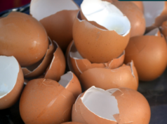 Eierschalen nooit meer weggooien: 11 slimme hacks voor keuken, tuin en schoonmaak