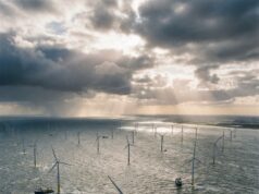 Miljarden aan belastinggeld de zee in: nieuw onderzoek betwijfelt milieuwinst van windparken op zee
